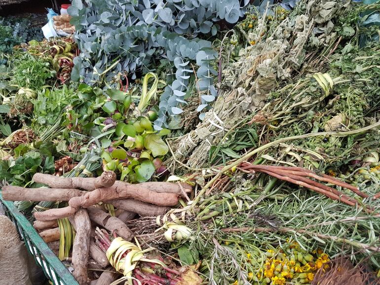 El uso de plantas medicinales en el mate y el tereré es parte de la cultura tradicional paraguaya.