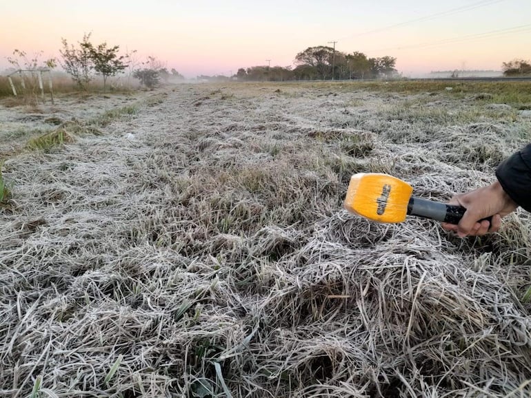 Heladas en Ñeembucú. Así amaneció este martes en Pilar.