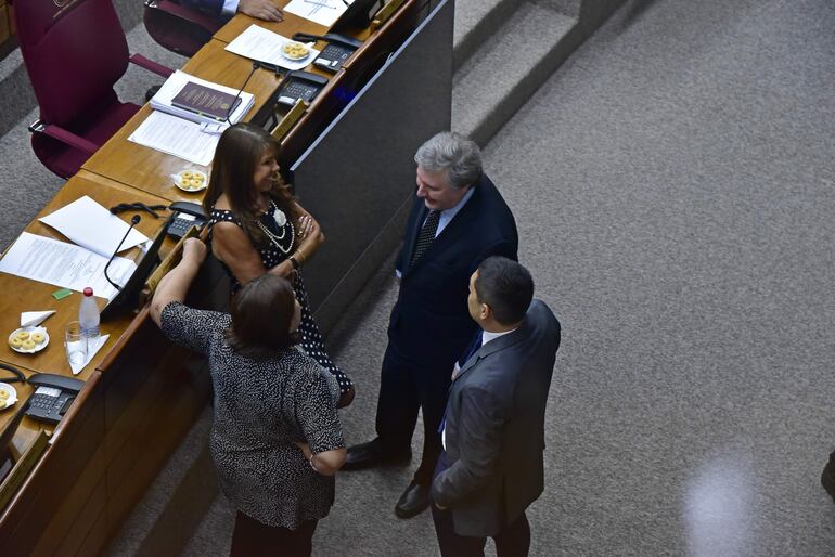 Esperanza Martínez, Celeste Amarilla, Rafael Filizzola y Eduardo Nakayama. 