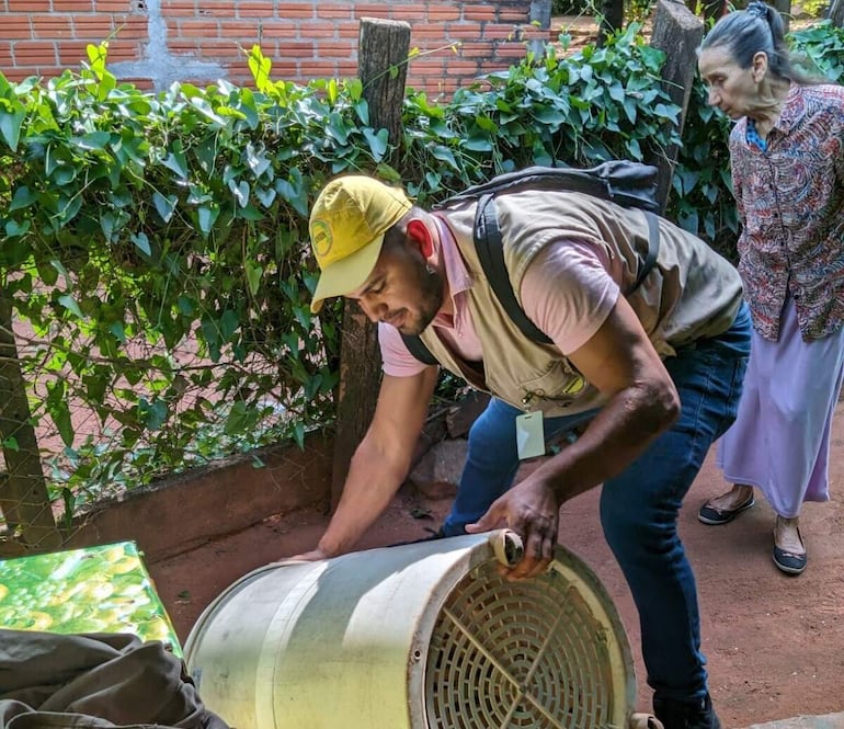 Se insta a la eliminación periódica de posibles criaderos de mosquitos. 