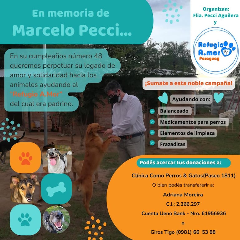 campaña refugio perros