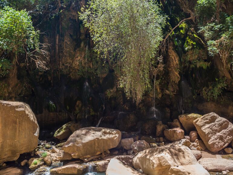 El vergel, Cañón de Torotoro, Bolivia.