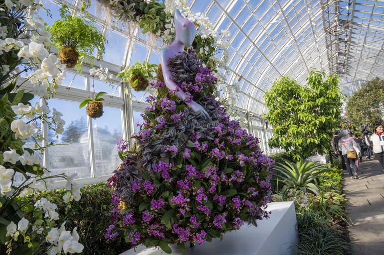 Unas 4.000 orquídeas, fascinantes flores tropicales, asoman entre las ramas de los árboles pero también forman extravagantes prendas. 