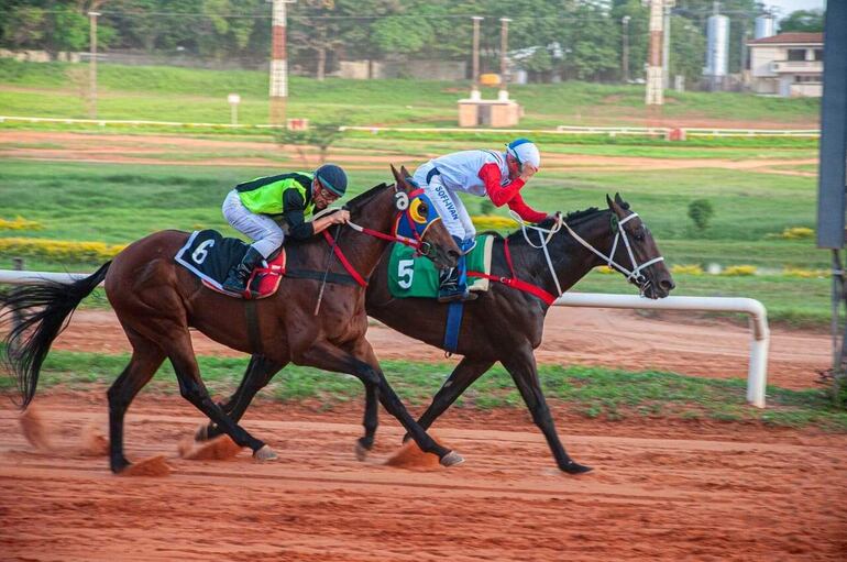 Seis sueltas  harán vibrar a la grey burrera en el Jockey Club.