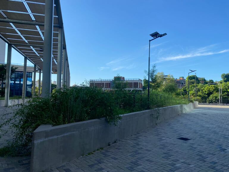 Así están hoy las deshabitadas oficinas del Gobierno en zona del Puerto de Asunción.