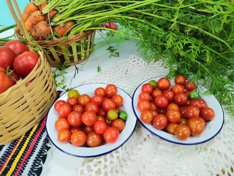 Cosecha de la huerta escolar: zanahoria fresca, tomate cherry y tomate grande.