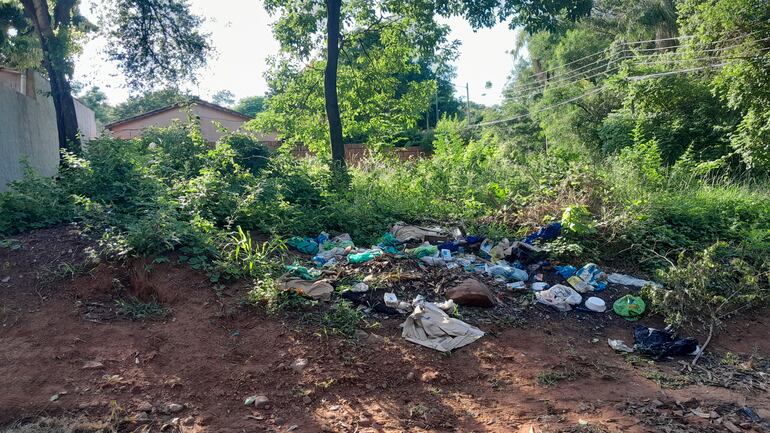 Vecinos del barrio San Jorge exigen limpieza de baldío.