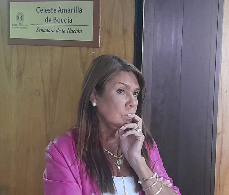 La senadora Celeste Amarilla (PLRA) advirtió que se está volviendo a la misma "soberbia de poder", que se tenía durante el stronismo.