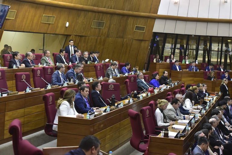 La Cámara de Diputados aprobó ayer con modificaciones el proyecto de ley de pensión a adultos mayores y devolvió al Senado para su tercer trámite.