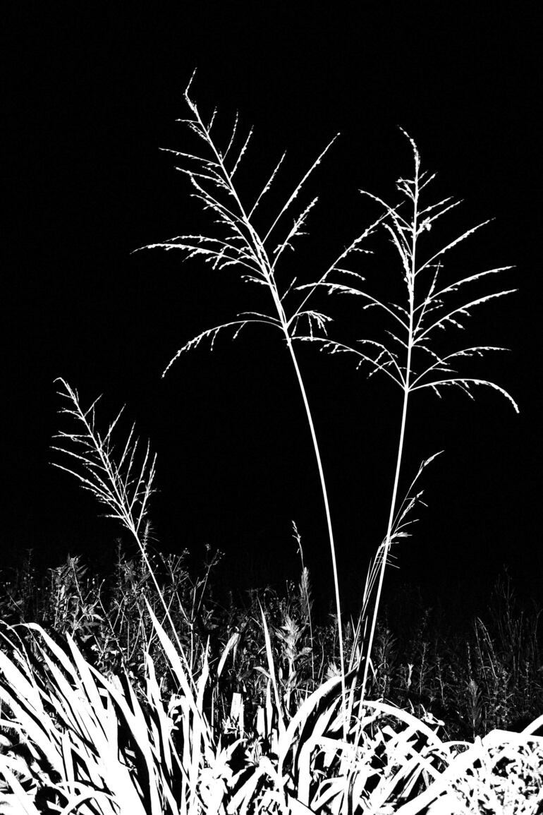 Fotografías, grabados y objetos forman parte de "Ejercicios nocturnos".