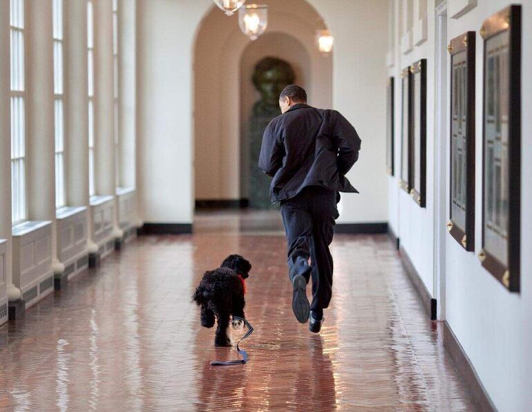 Barack Obama y su perro Bo.