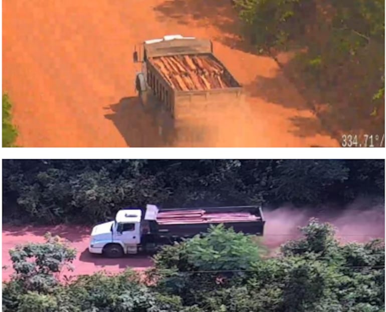 El mismo camión ya fue visto saliendo de la misma zona con enormes cargas de madera robada. 