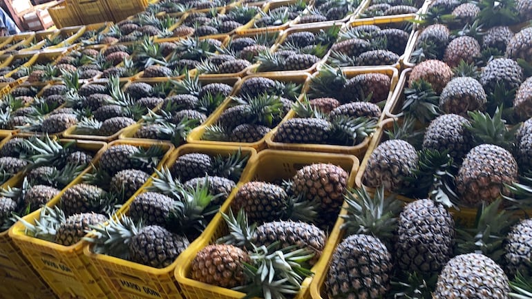 Cajas de piña en el mercado de Campo Grande, Brasil