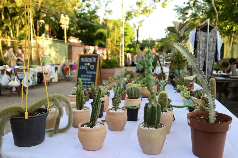 En la feria de la Peatonal del Club Náutico ofrece una variedad de productos artesanales. Estas tunas son una maravilla y suculentas.