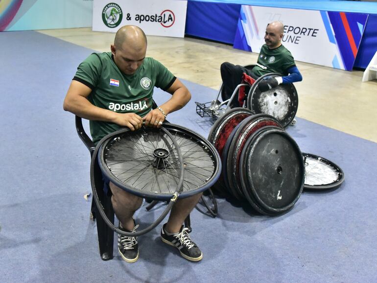 Las sillas están diseñadas exclusivamente para las competencias de rugby.