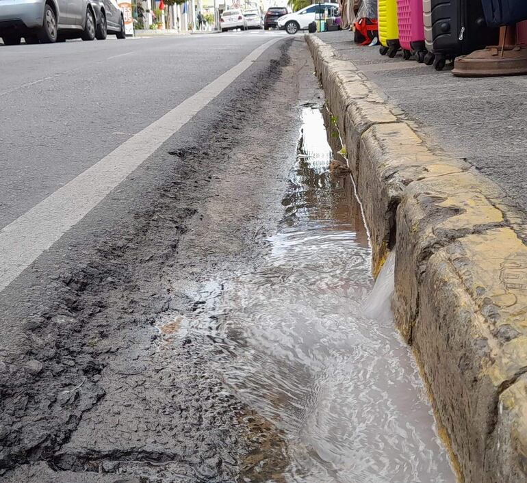 Esta perdida de agua brota sobre Palma entre 14 de Mayo y 15 de Agosto.