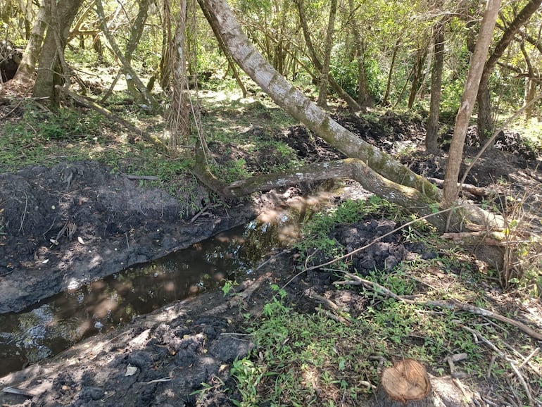 La destrucción ambiental se constató en las cercanías del río Monday. 