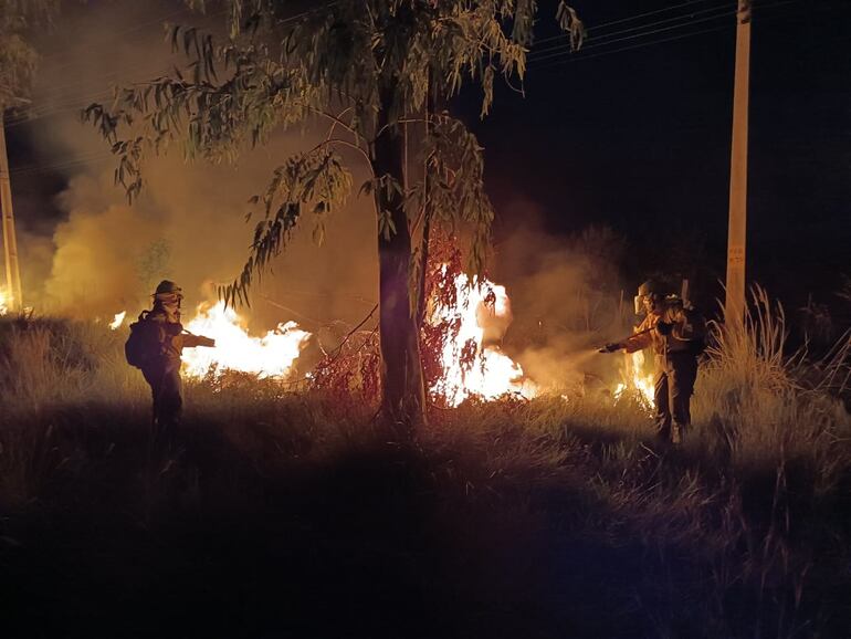 Unos ocho bomberos están combatiendo el incendio originado en una campo.