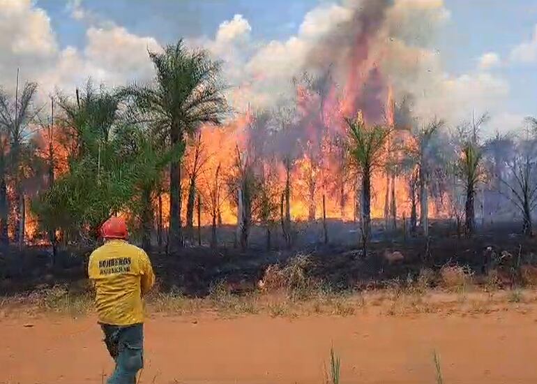 Incendio forestal,  13-03-2024