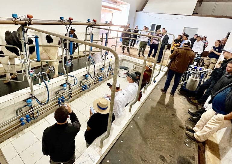 La competencia de mayor producción de leche será uno de los atractivos de la Expo Cooprolanda 2024.