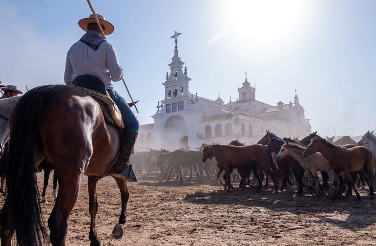 El Observatorio de la Tierra de la NASA ( Earth Observatory) ha afirmado que la agricultura y el turismo son los principales causantes de que se seque el Parque Nacional de Doñana, el mayor humedal de España y de toda Europa, y que el 83 % de los humedales están menos inundados de lo que podría explicarse por la sequía.