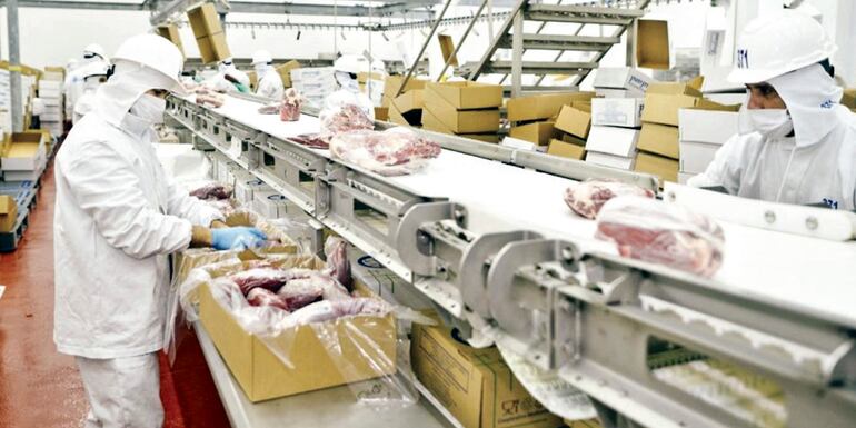 El comercio mundial de carne alcanzaría unos 42 millones de toneladas, volumen similar al reportado en el 2022, según señalaron desde la Organización de las Naciones Unidas para la Alimentación y la Agricultura.