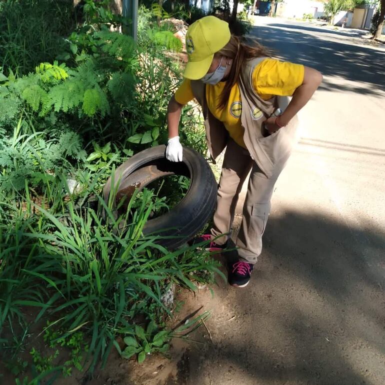 Las mingas ambientales realizadas por Senepa y otras instituciones se realizan diariamente en los barrios de Asunción y otras ciudades del país. 