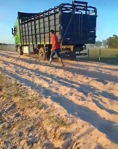 Un camión transganado quedó atascado en la arena en la zona de Yaguarón distrito de Tacuaras departamento de Ñeembucú.