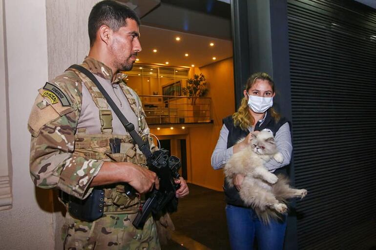 Gato persa rescatado por la titular de la Dirección Nacional de Defensa, Salud y Bienestar Animal, Teresita Álvarez  a pedido del fiscal Deny Yoon Pak, quien allanó la vivienda del presunto narco Miguel Ángel Servín.