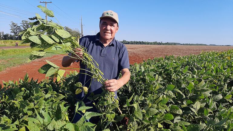 Estadísticamente, el décimo departamento de Alto Paraná es el mayor productor de soja del país, con más de 930.000 hectáreas cultivadas.