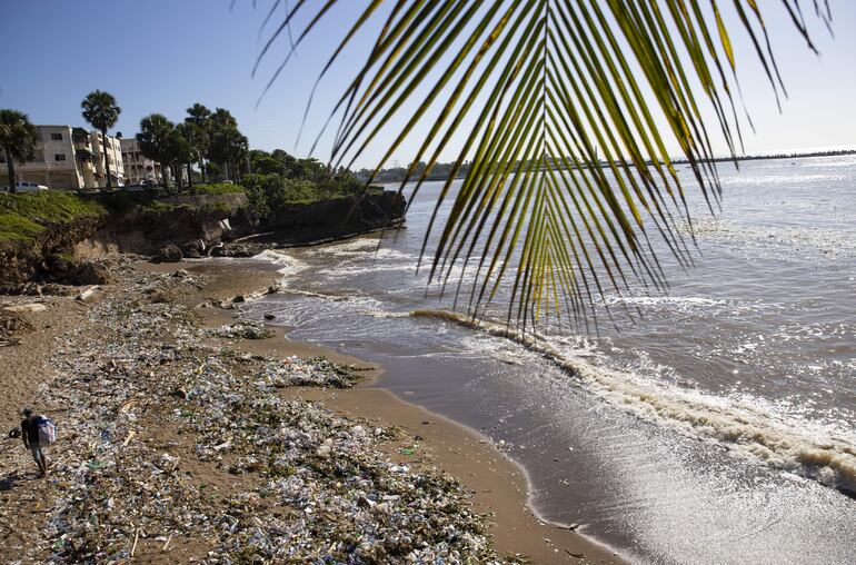 El reto para Latinoamérica es adaptarse al cambio climático más que mitigarlo.