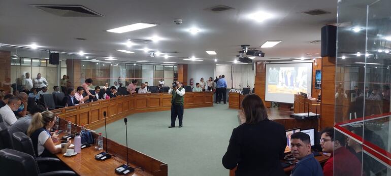 La Junta Municipal convocó a la directora general de Gestión Ambiental de Asunción, tras la tala de 70 árboles en la plaza Mártires de la Policía Nacional.
