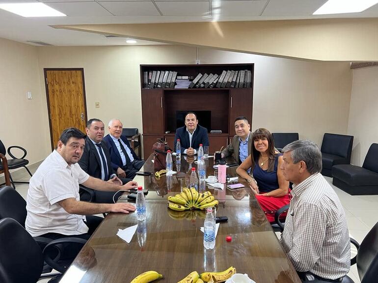 Hugo Fleitas con senadores de la bancada A. Eduardo nakayama, celeste amarilla, josé ledesma, Salyn Buzarquis, Líder Amarilla (falta ever villalba)