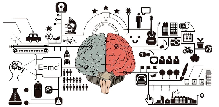 El cerebro trabaja a través de un sistema de controles y de equilibrios.