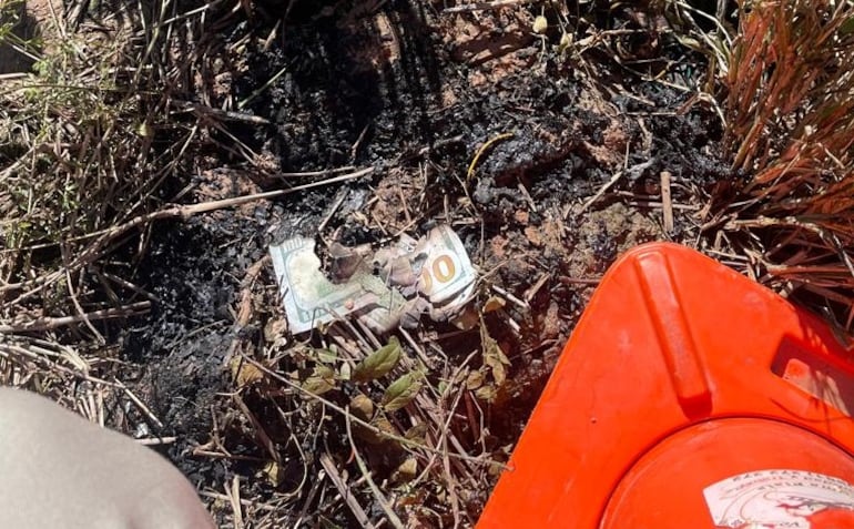 Restos de billetes de US$ 100 fueron encontrados en la avioneta siniestrada en Loma Plata.