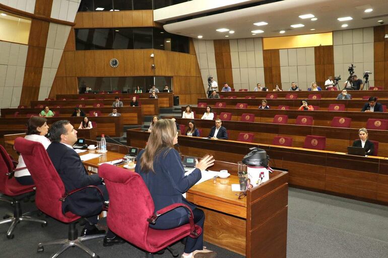 La audiencia pública realizada ayer en la Cámara de Senadores.