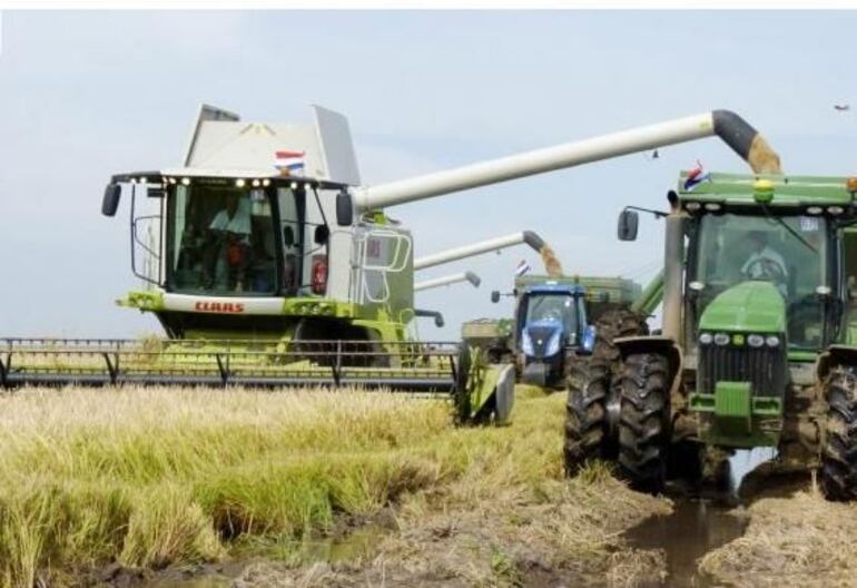 El sector productivo, específicamente arroceros se vieron muy afectados el año por las condiciones climáticas adversas