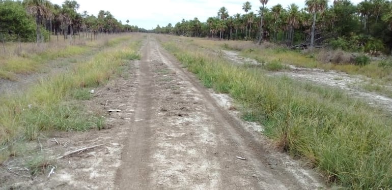 Debido a la falta de sistemas de desagües, estos caminos en breve quedarán de nuevo inundados con las lluvias que se registran en la zona.