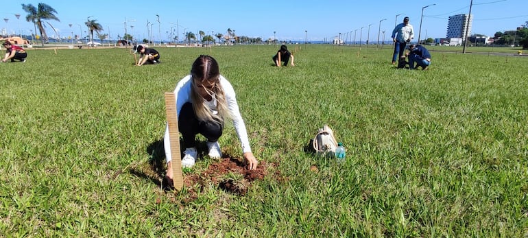 Desde sus inicios, en 2019, más de 5.000 árboles nativos plantados en el marco de una campaña por promover un entorno más saludable para la ciudad.