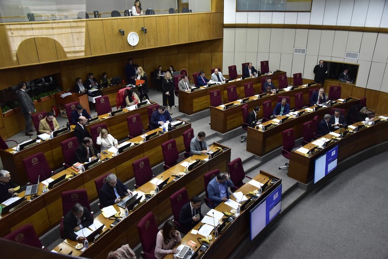 Sesión extraordinaria del Senado, realizada hoy 27 de agosto.