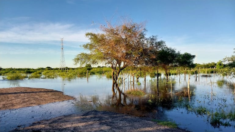 Los humedales quedaron inundados debido a la crecida de los arroyos y lagos.