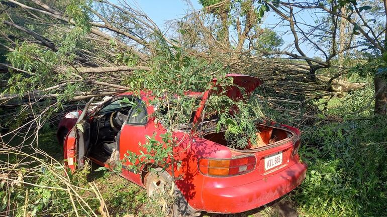 Los pobladores de la zona afectada por el tornado en Mbocayaty del Yhaguy relataron que este auto fue elevado por los aires y luego quedó atrapado entre árboles derrumbados.