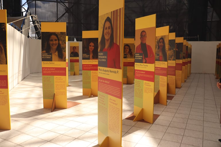 Perfiles de destacadas mujeres científicas de Ecuador. La Organización de Estados Iberoamericanos para la Educación, la Ciencia y la Cultura (OEI) lanzó este viernes la convocatoria para participar en el programa de becas doctorales ‘Paulo Freire Plus’, para apoyar la formación de estudiantes y profesores iberoamericanos interesados en cursar sus estudios doctorales en el extranjero.