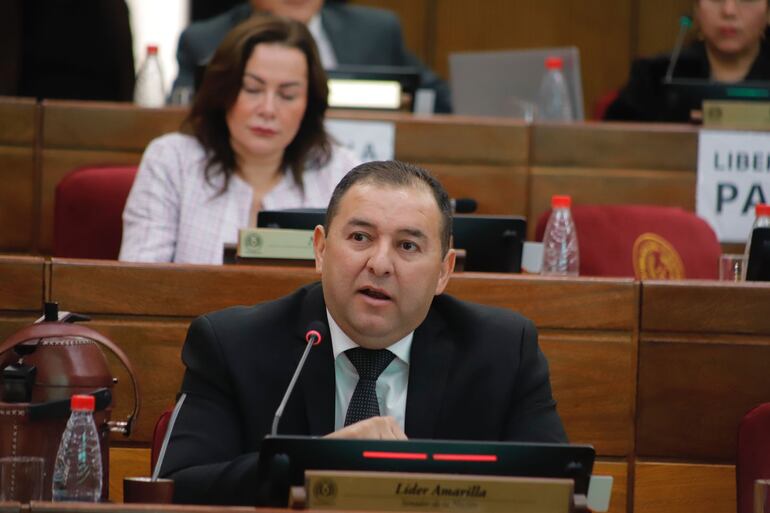 Líder Amarilla (Foto. Prensa Senado)