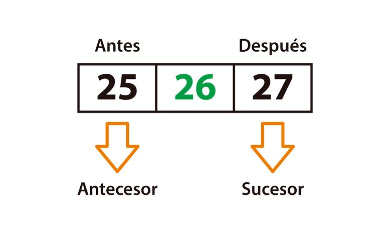 Antecesor y sucesor.