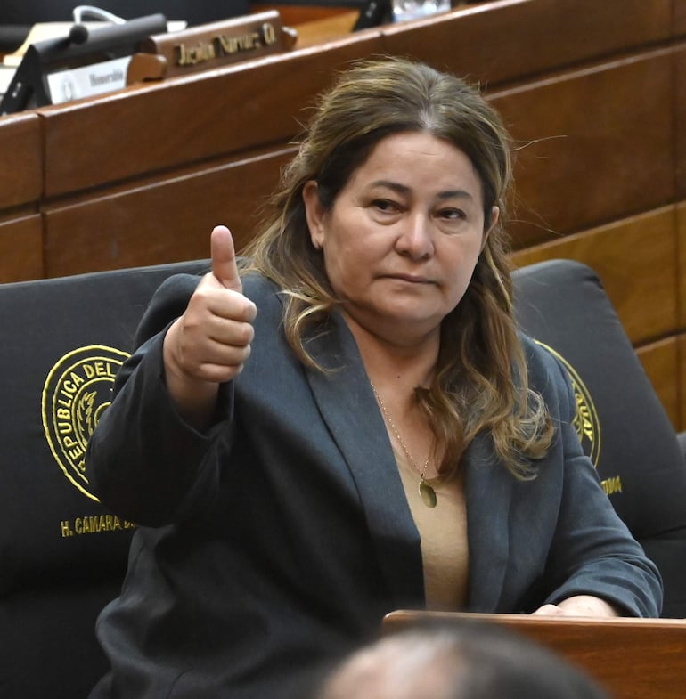 Diputada Cristina Villalba, presidenta de la Comisión de Presupuesto.