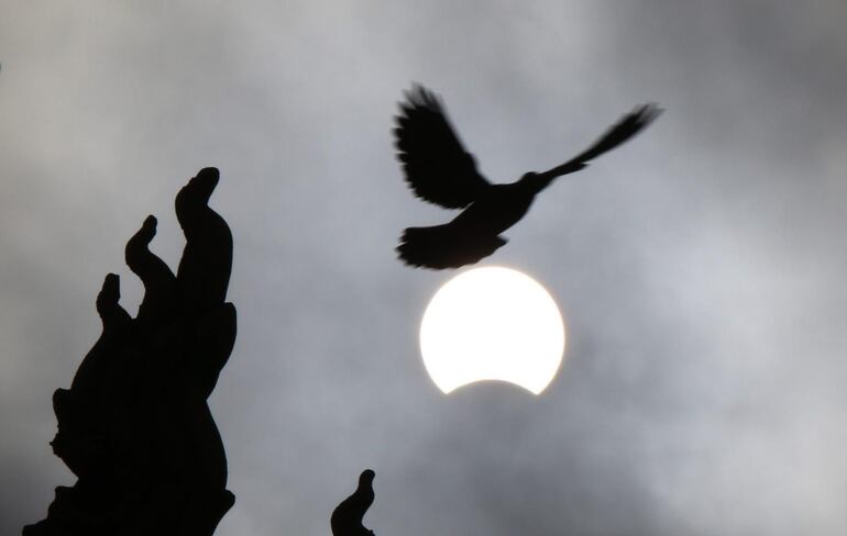 Imagen de archivo del principio de un eclipse solar parcial. El próximo 14 de octubre, la Luna cubrirá hasta el 40% del Sol desde Paraguay.