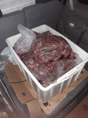 Incautan 300 kilos de carne de dudosa procedencia