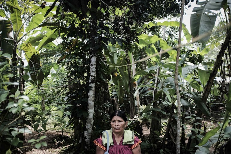 Una indígena de la comunidad ngöbe-buglé descansa entre los árboles en el cantón de Coto Brus, provincia de Puntarenas (Costa Rica). Un ritual tradicional con humo y agua purificada permite la entrada de los visitantes al bosque o a las casas en las comunidades indígenas ngöbe-buglé del sur de Costa Rica, donde sus habitantes están comenzando a ver al turismo como una oportunidad para mostrar y preservar la cultura y para generar ingresos económicos.