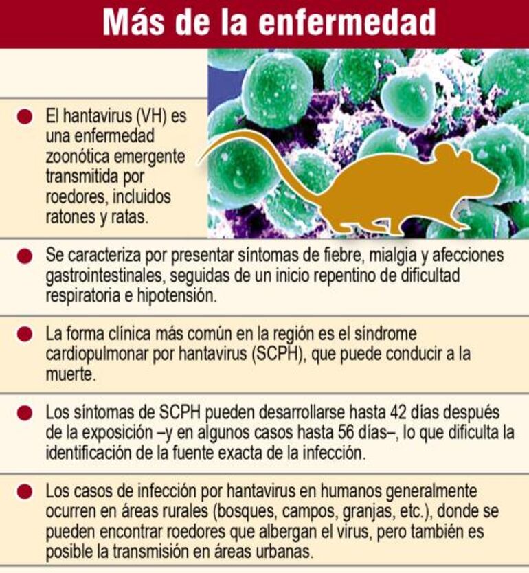 La enfermedad se transmite por el contacto con la orina, saliva o excremento de roedores infectados con el virus y que no tratado a tiempo puede ser mortal.